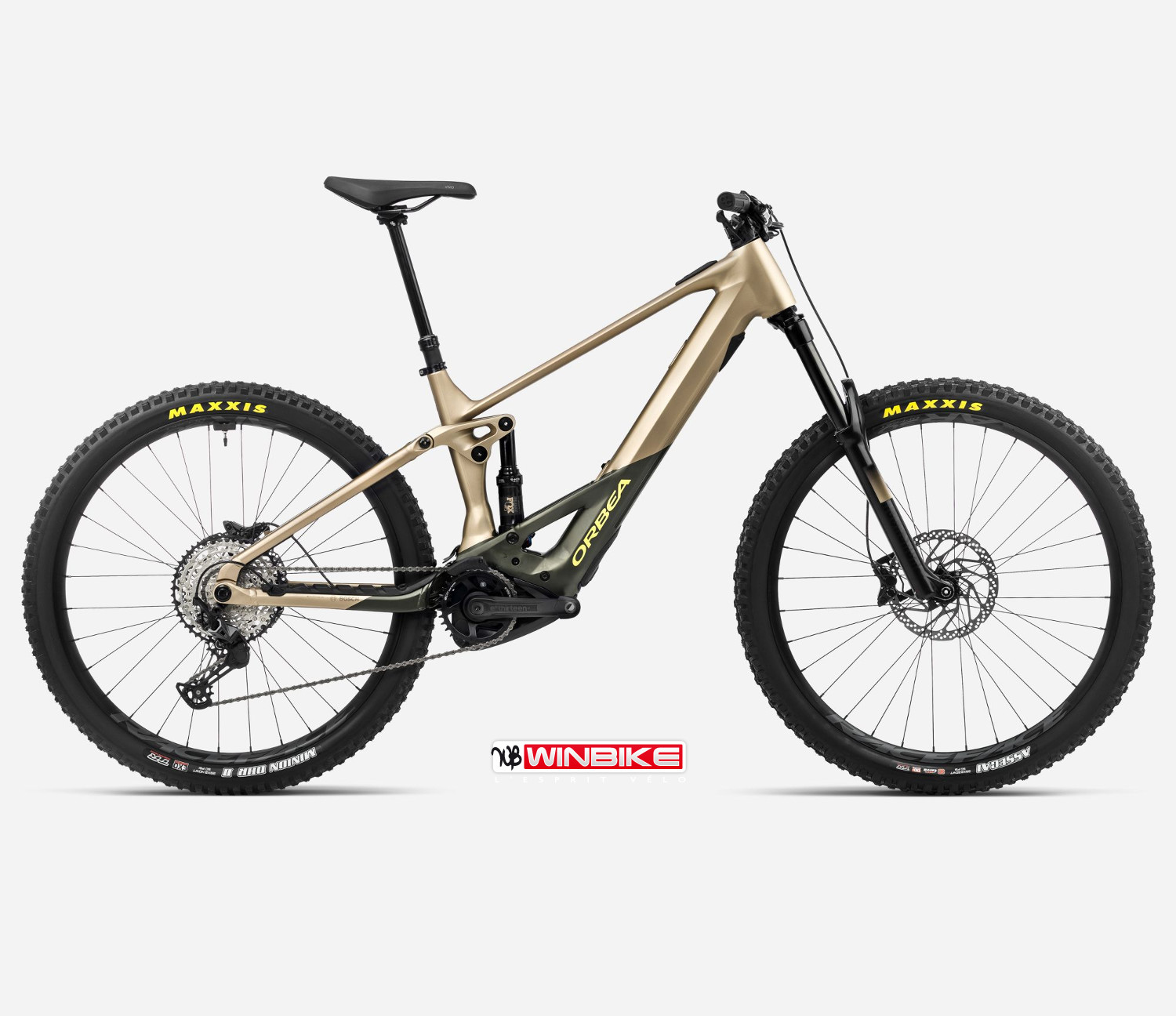 Orbea Wild H20 L 2023-image